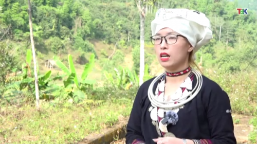 30- 3 Sắc màu cuộc sống
